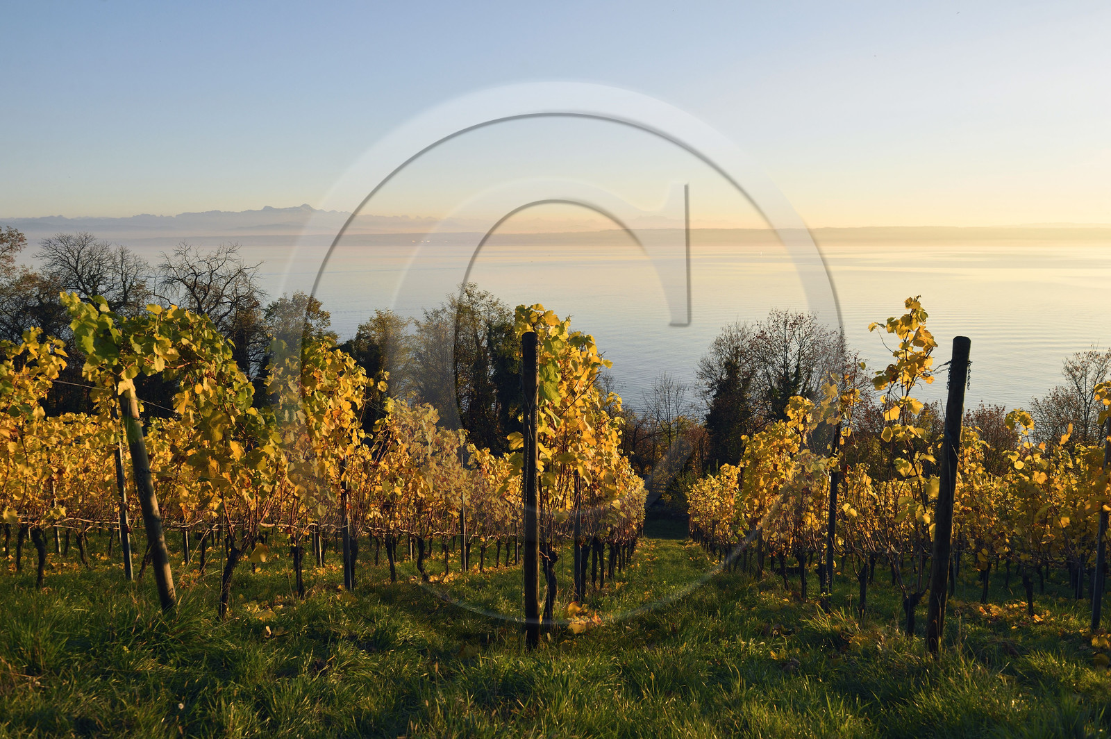 Allemagne, Meersburg