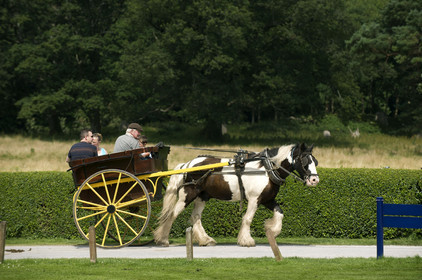 Irlande, Killarney
