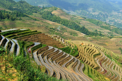 Chine, Longsheng