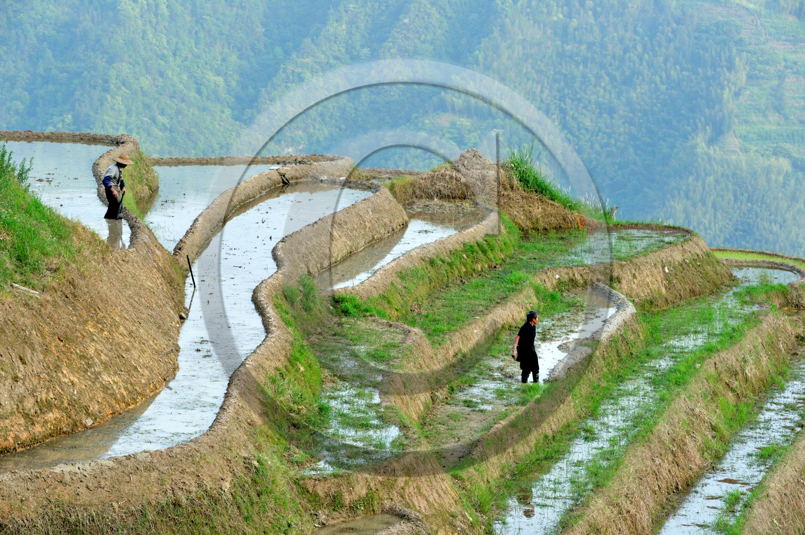 Chine, Longsheng
