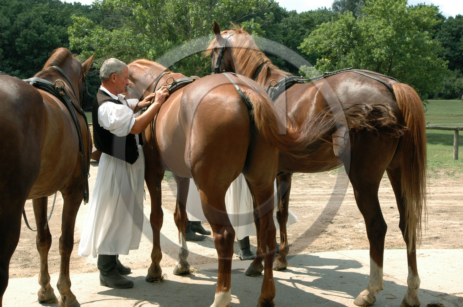 Hungary