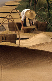 RIZ. CHINE