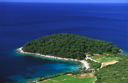 PRESQU' ILE DE PELJISAC. CROATIE