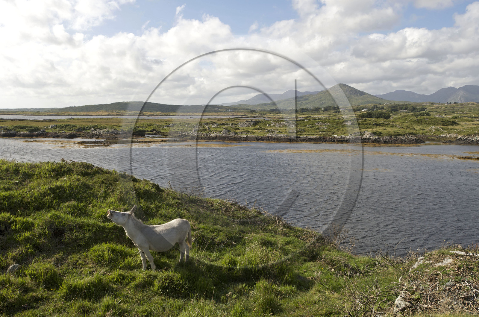 Irlande, Connemara
