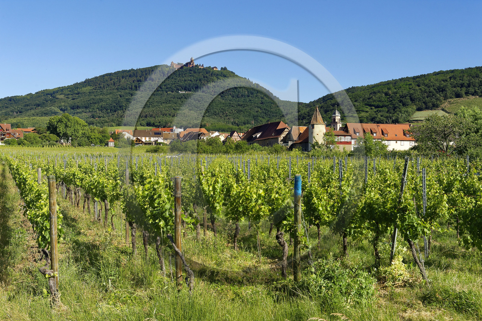 France, Chatenois