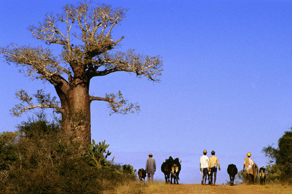 Madagascar