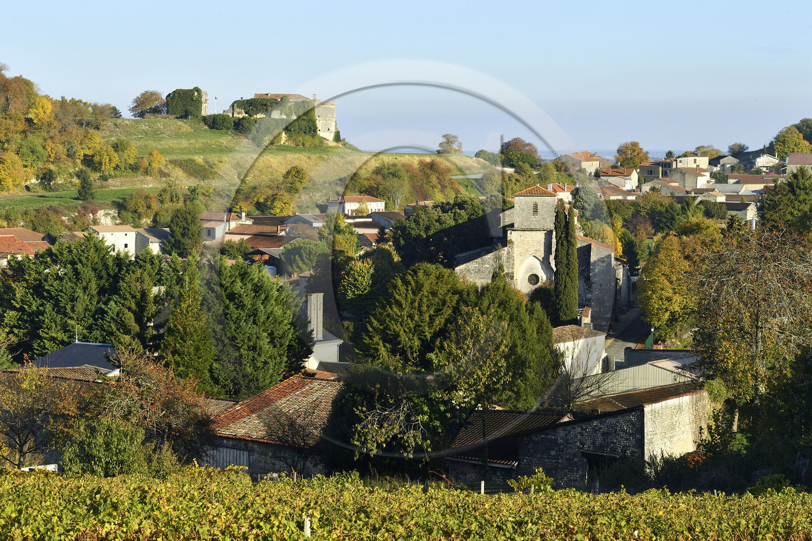 France, Cognac
