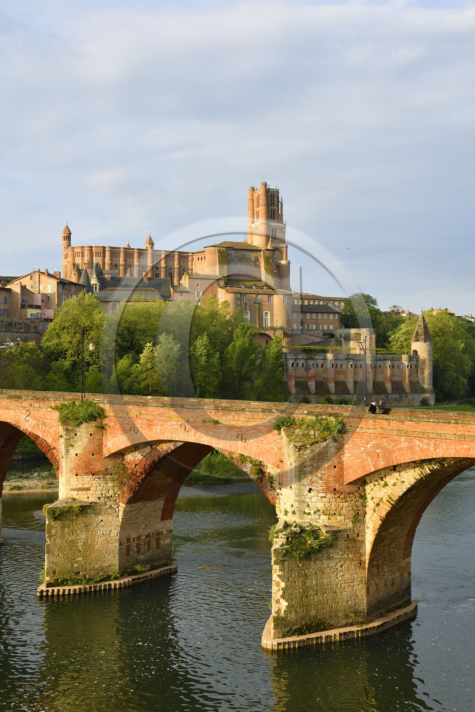 France, Albi