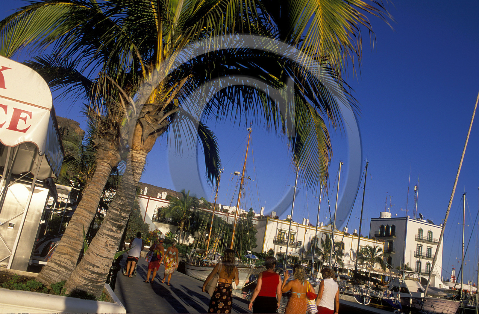 Canaries. Espagne