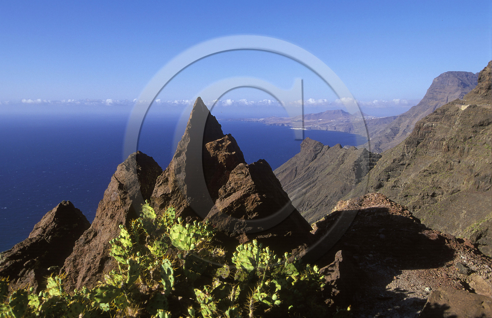 Canaries. Espagne