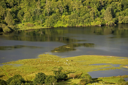 Irlande, Glenveagh