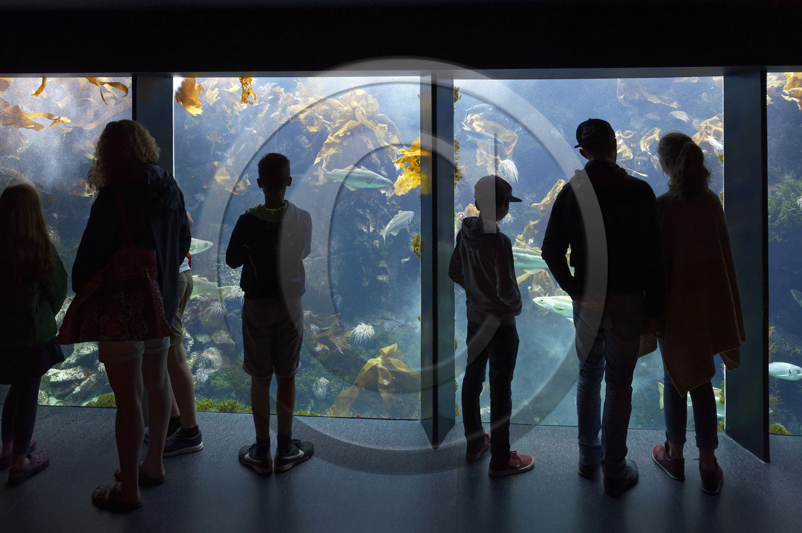France, Oceanopolis