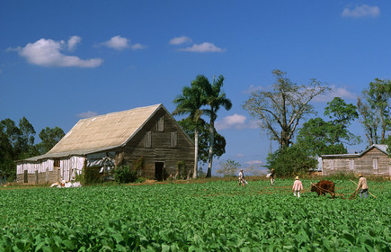 PINAR DEL RIO.CUBA