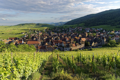 France, Riquewihr