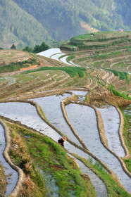 Chine, Longsheng