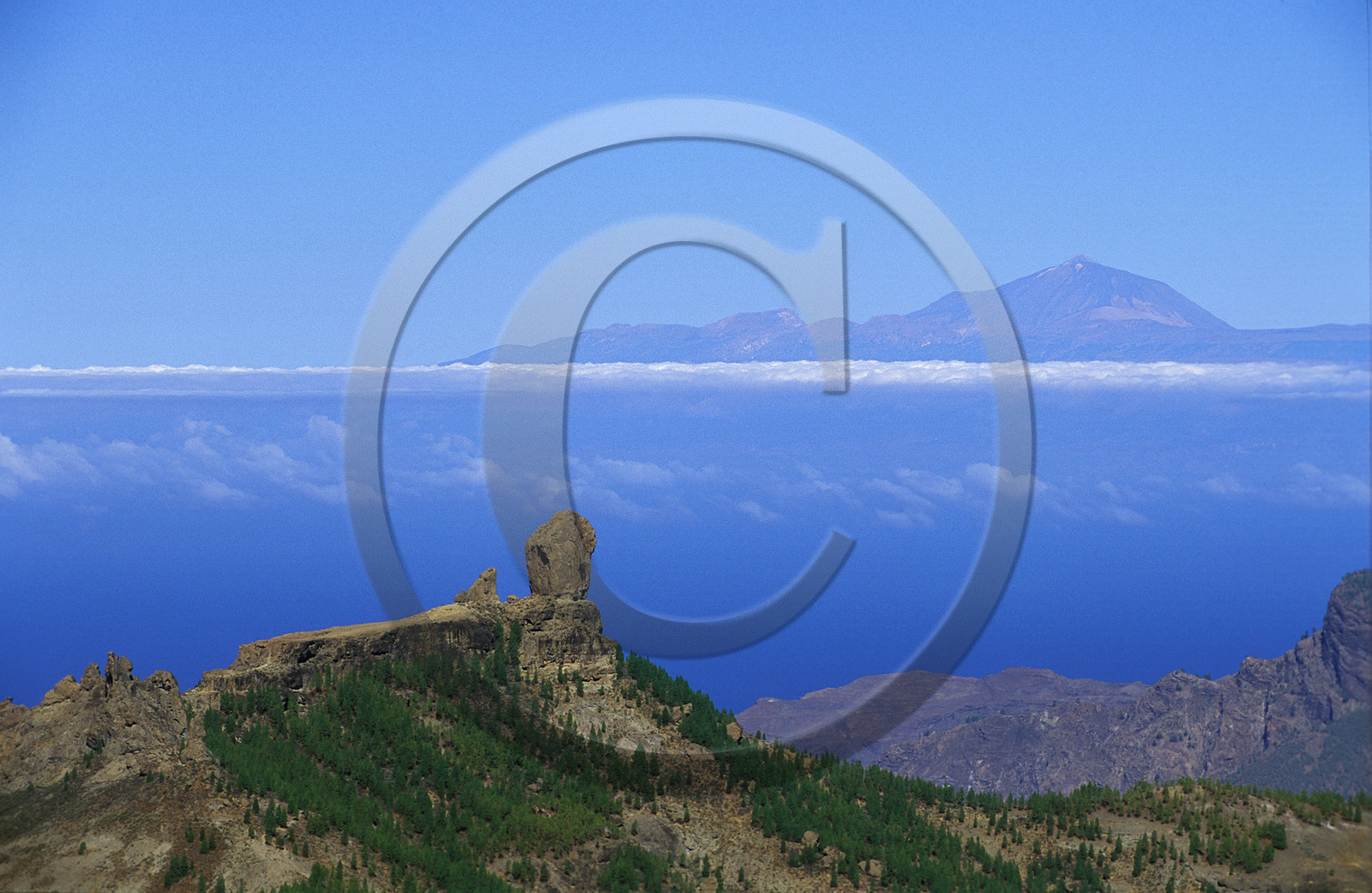 Canaries. Espagne