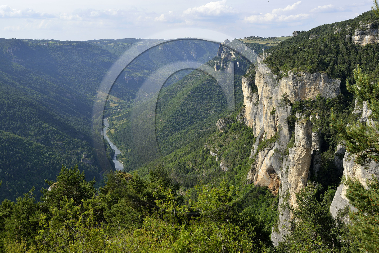 France, Tarn