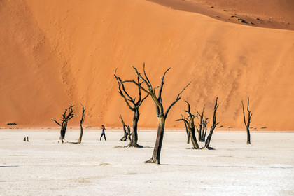 Namibie, Sossusvlei