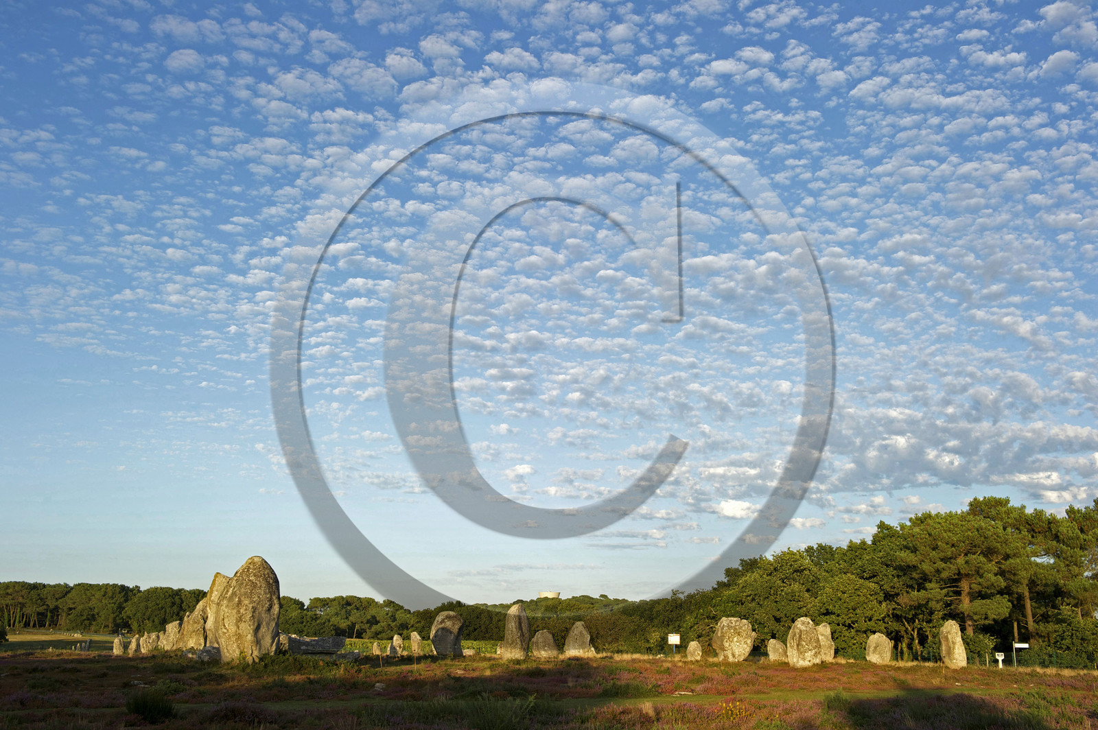 France, Carnac