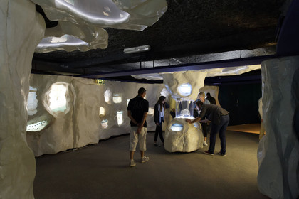France, Oceanopolis