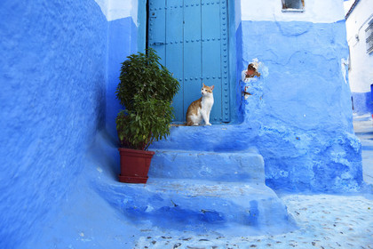 Maroc, Chefchaouen