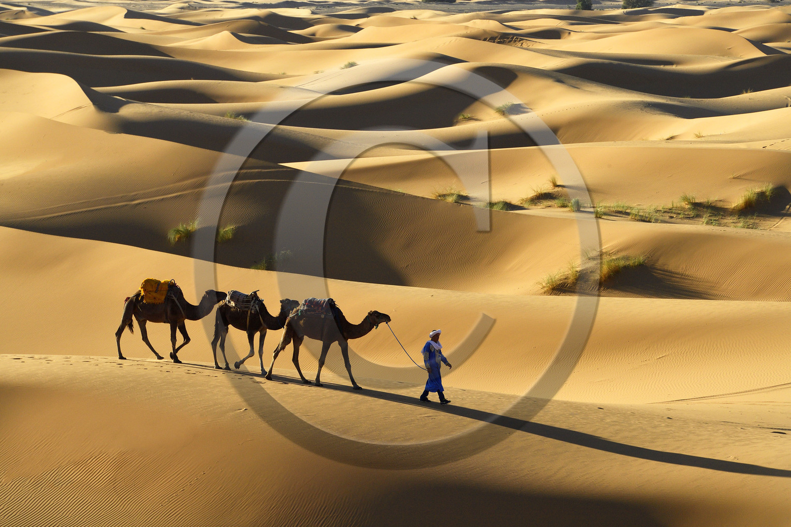 Maroc, Merzouga