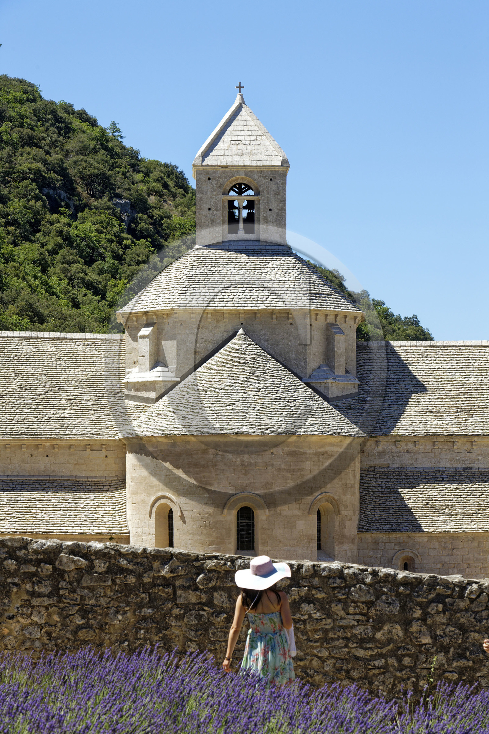 France, Senanque