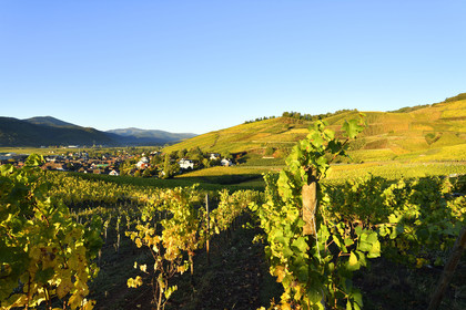 France, Turckheim