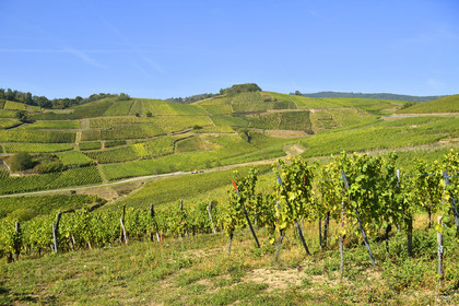 France, Turckheim