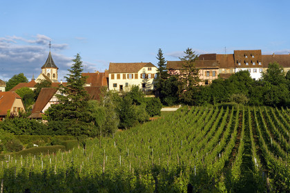 France, Zellenberg