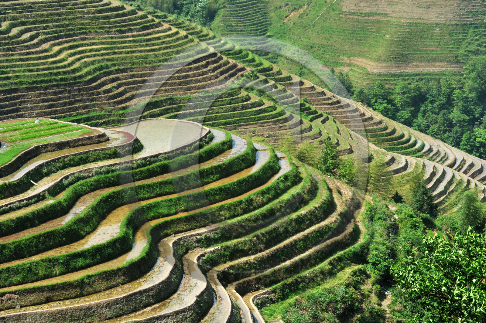 Chine, Longsheng
