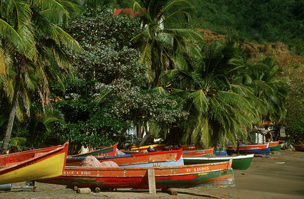Petite Anse. Guadeloupe. Antilles Francaises
