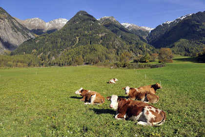Autriche, Tyrol