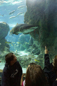 France, Oceanopolis