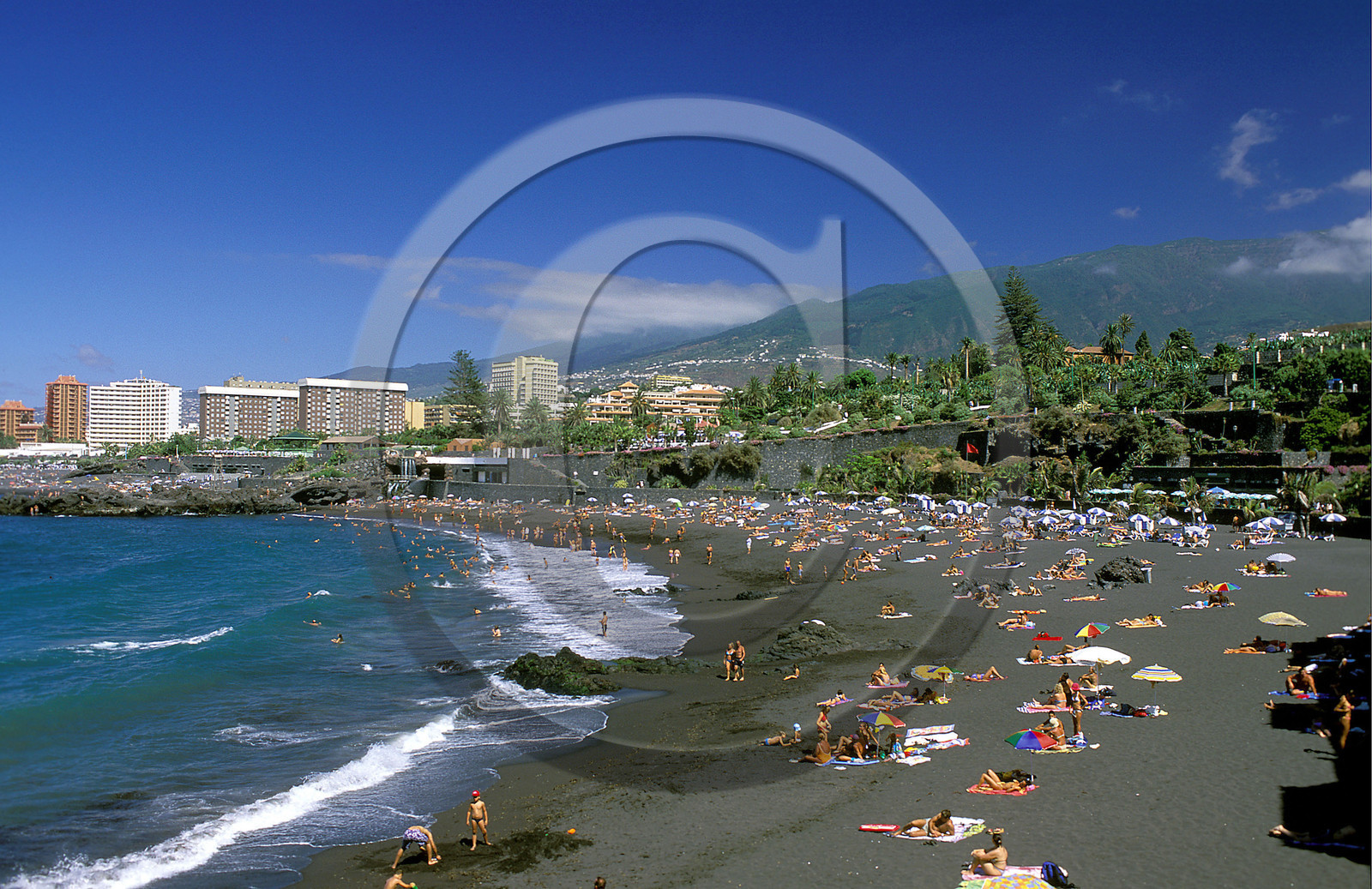 Canaries. Espagne