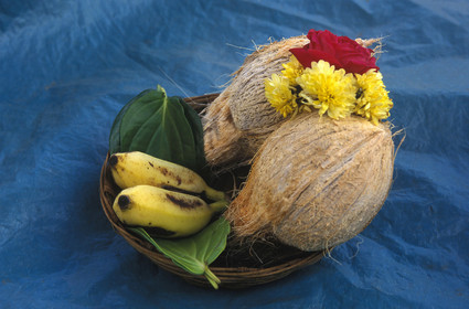 Inde du Sud