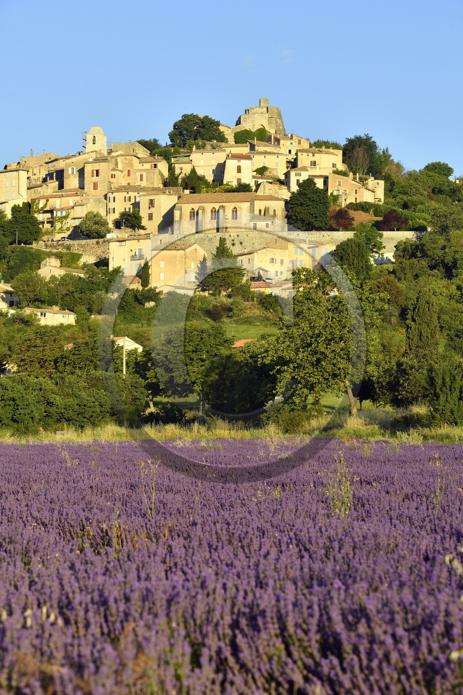 France, Simiane la Rotonde