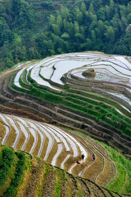 Chine, Longsheng