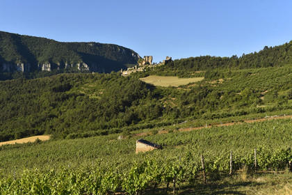 France, Peyrelade