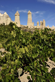 Turquie, Cappadoce