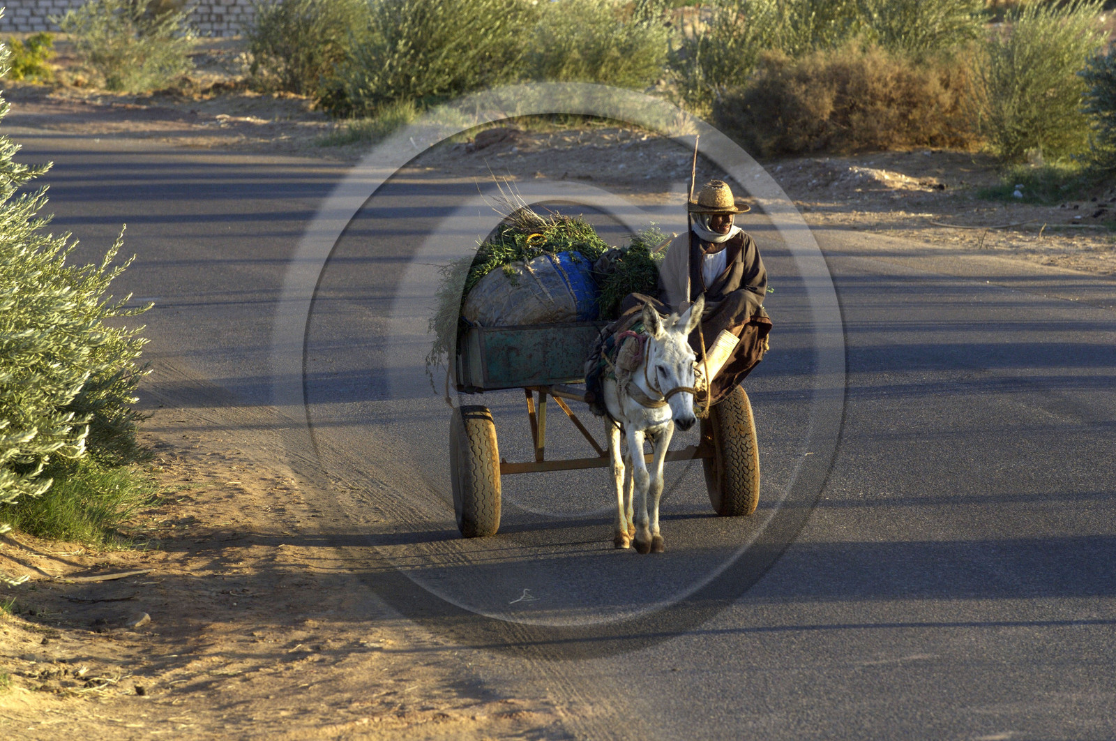 Egypte, Dakhla