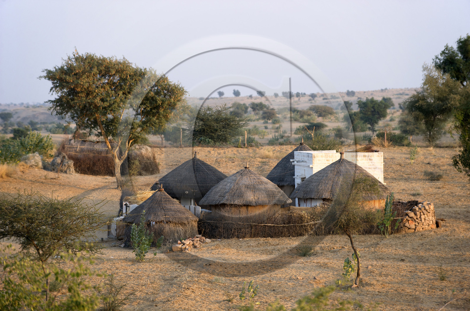Inde, Rajasthan