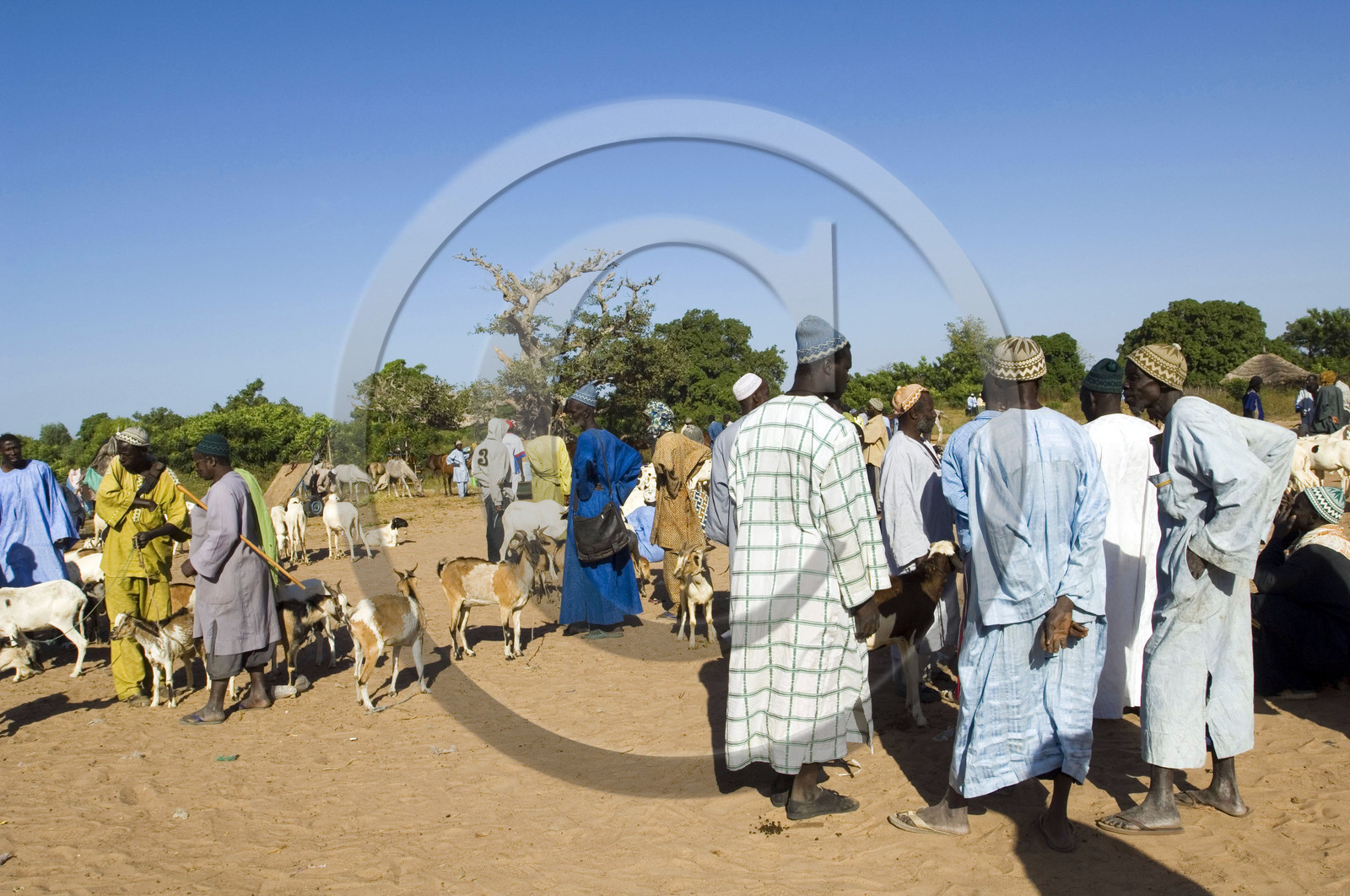 Marché de Gueguenne, Sénégal
