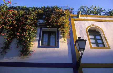 Canaries. Espagne