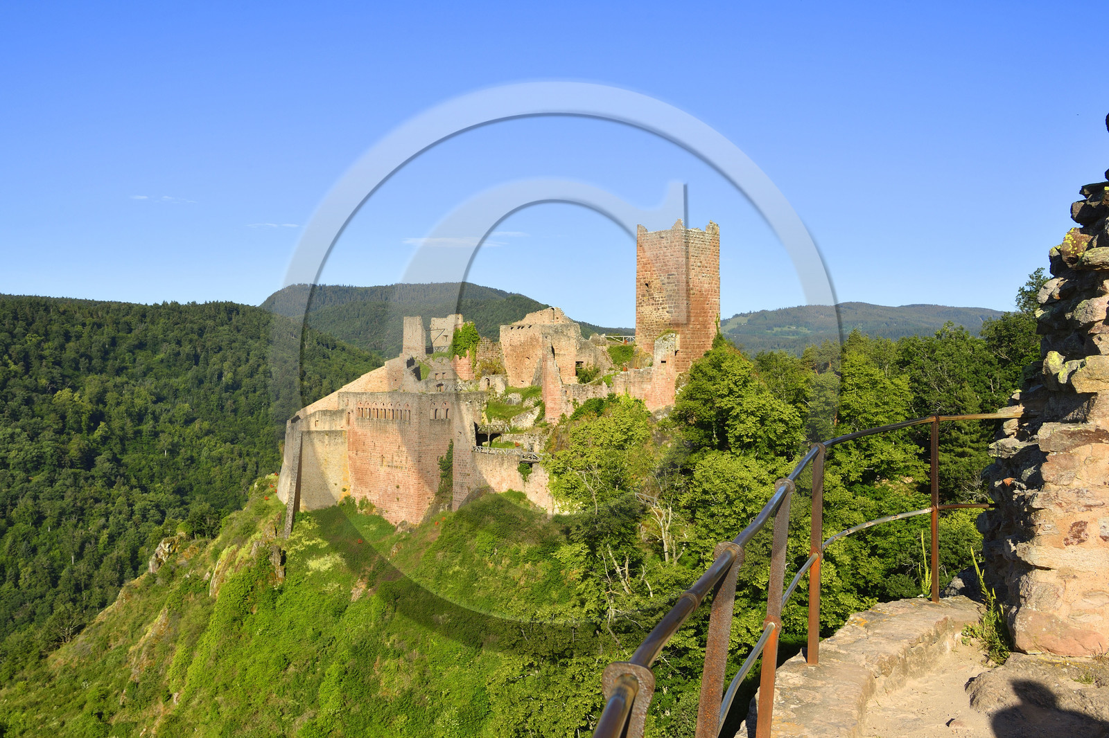 France, Ribeauville