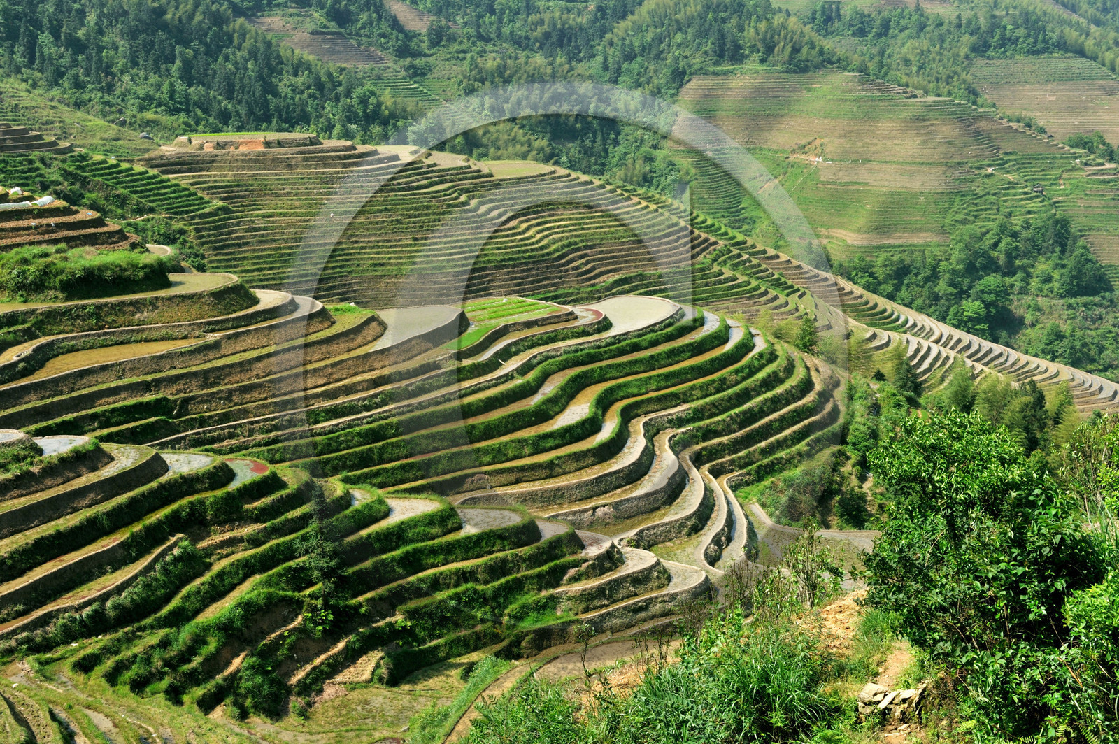 Chine, Longsheng