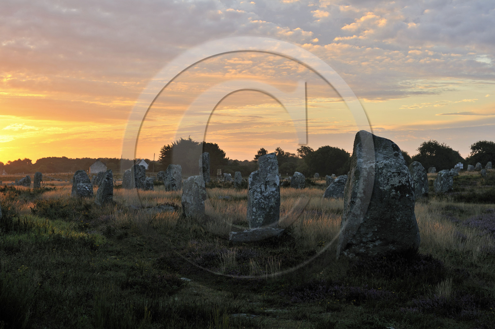 France, Carnac