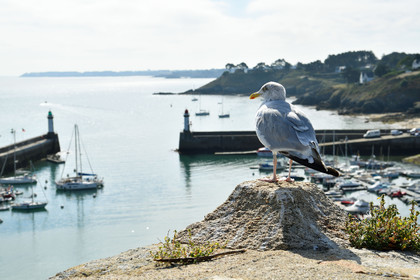 France, Belle Ile
