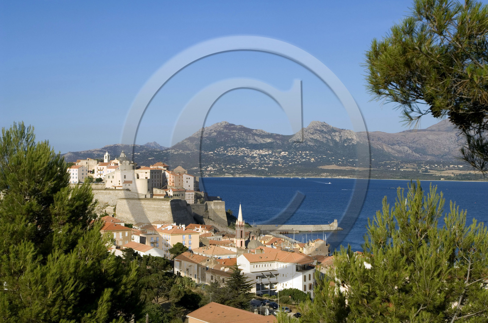 Calvi, Corse