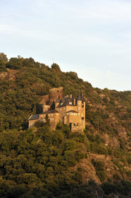 Allemagne, Rhin